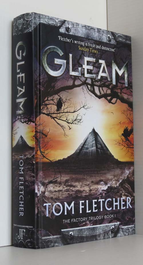 Image for Gleam (The Factory Trilogy Book 1)