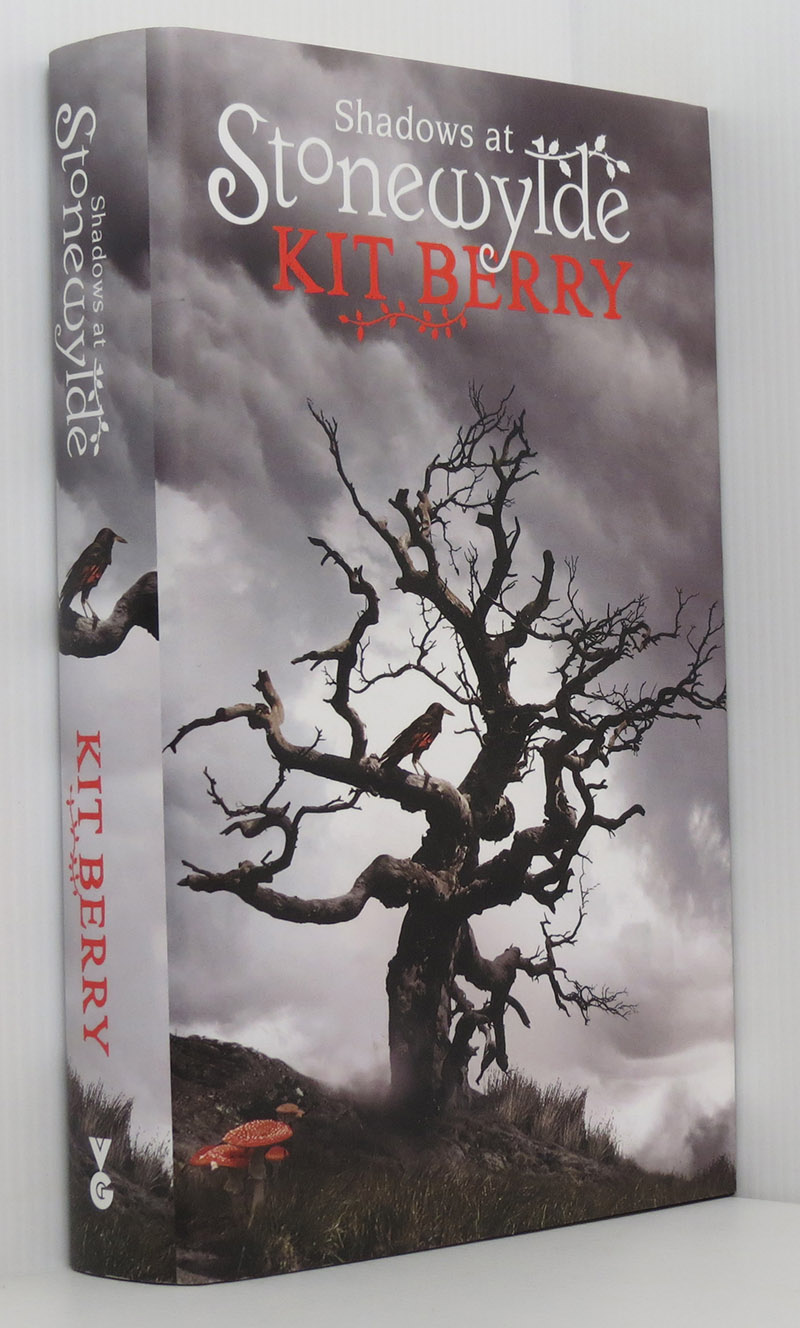 Image for Shadows at Stonewylde (Stonewylde Book 4) Review Copy