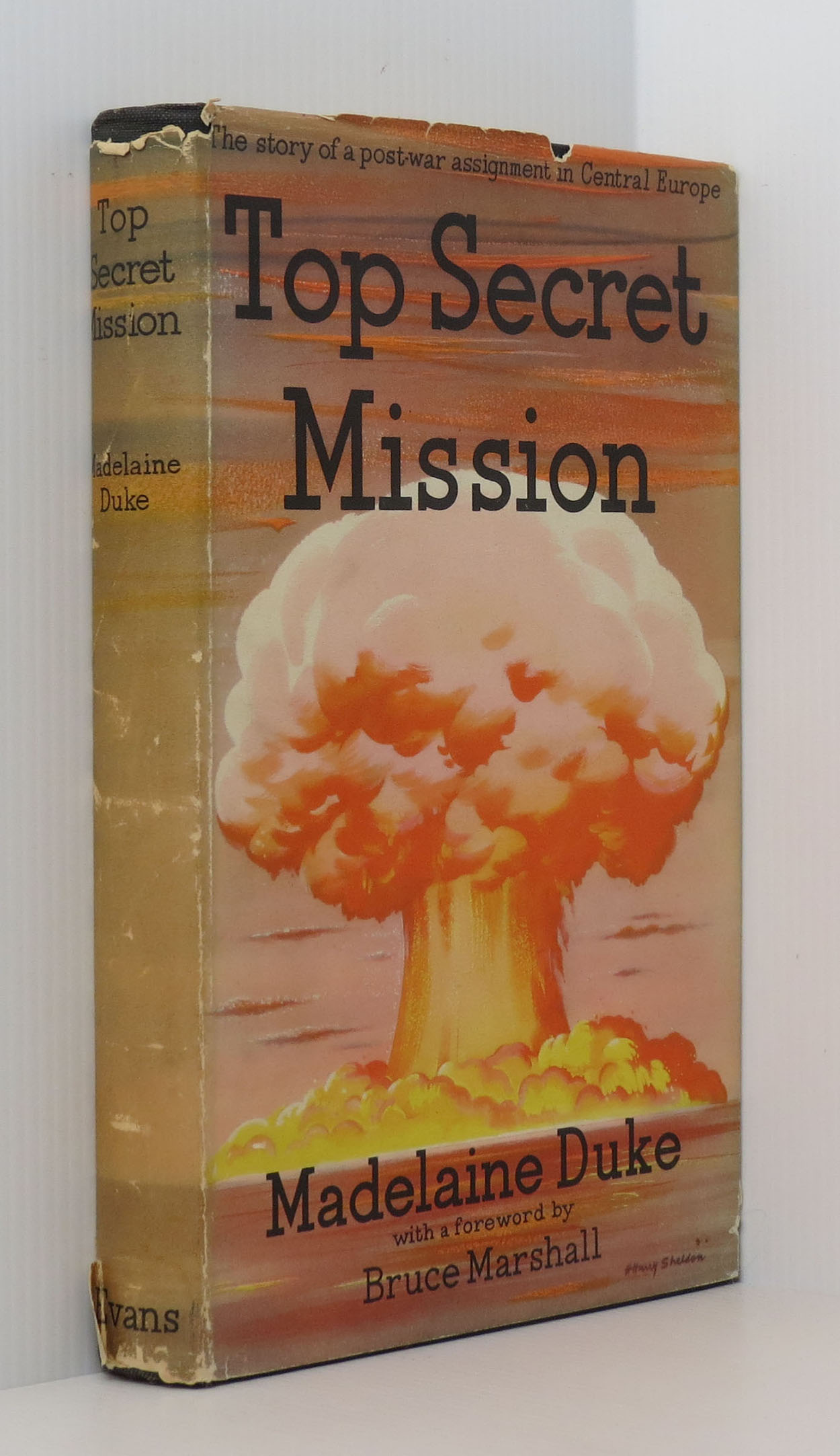 Image for Top Secret Mission